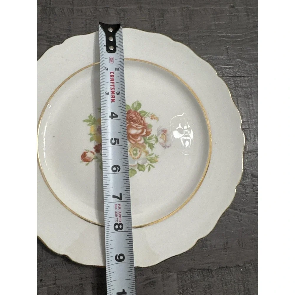 Vintage Canonsburg Floral Plates Set of 2 – 9